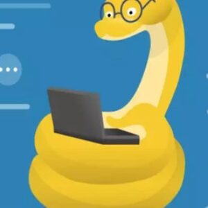 90 Days of Python : From Zero to becoming a Pro Developer