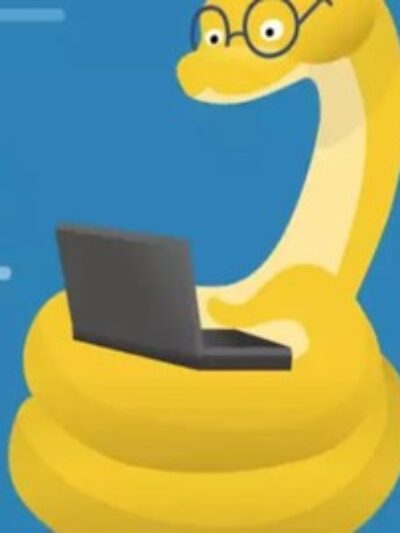 90 Days of Python : From Zero to becoming a Pro Developer