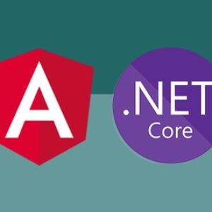 Build an app with ASPNET Core and Angular from scratch