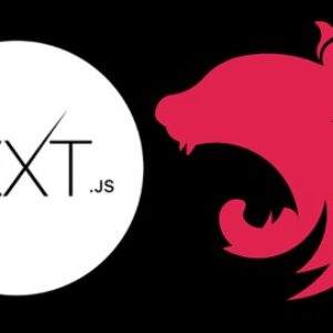 Build a Shopping App With Next.js + NestJS & Prisma