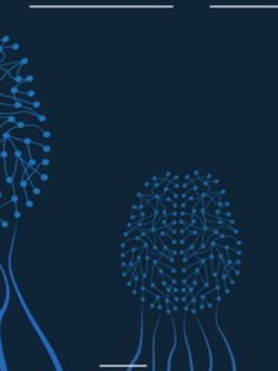 Complete Machine Learning and Deep Learning With H2O in R