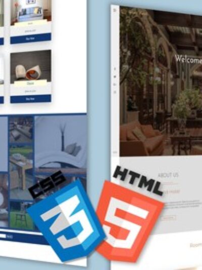 CSS Bootcamp - Master CSS (CSS Grid / CSS Flexbox)