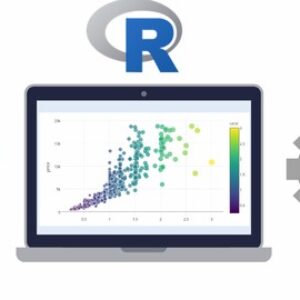 Data Science and Machine Learning Bootcamp with R