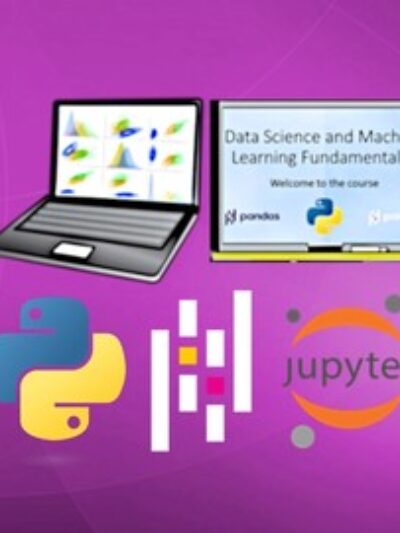 Data Science and Machine Learning Fundamentals [2024]