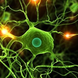 Data Science: Deep Learning and Neural Networks in Python