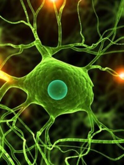 Data Science: Deep Learning and Neural Networks in Python