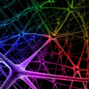 Deep Learning: Convolutional Neural Networks in Python