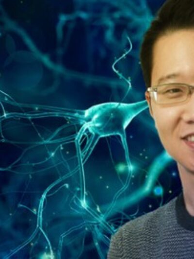 Deep Learning for Beginners: Core Concepts and PyTorch