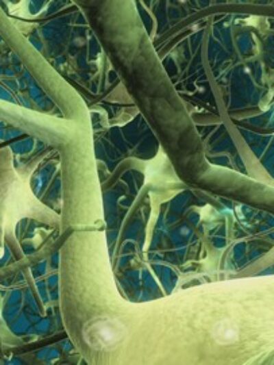 Deep Learning: Recurrent Neural Networks in Python
