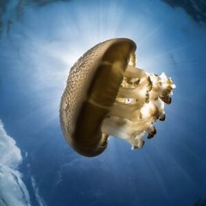 Machine Learning Applied to Stock & Crypto Trading - Python