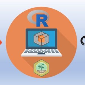 Mastering R: Best Practices and Essential Tools