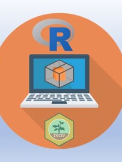 Mastering R: Best Practices and Essential Tools