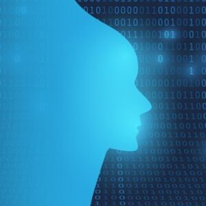 Practical Deep Learning & Artificial Neural Nets with Python