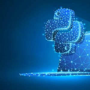 Python Programming/Script/OOP/Advanced for Python Projects