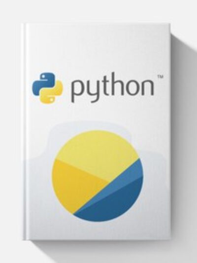 Python: The Professional Guide For Beginners (2024 Edition)