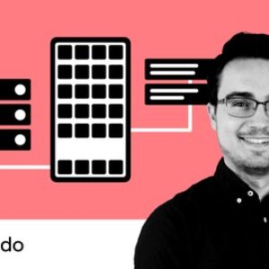 REST APIs with Flask and Python in 2024