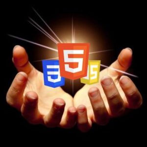 The Definitive Guide to HTML Web Development.