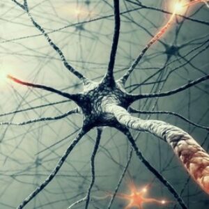 Unsupervised Deep Learning in Python