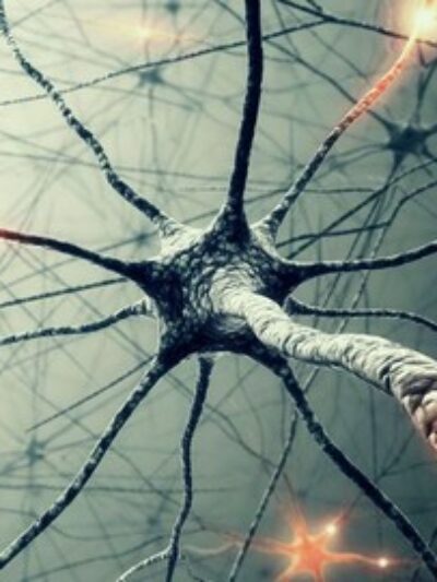 Unsupervised Deep Learning in Python