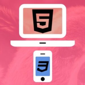 Web Design for Beginners: Real World Coding in HTML & CSS