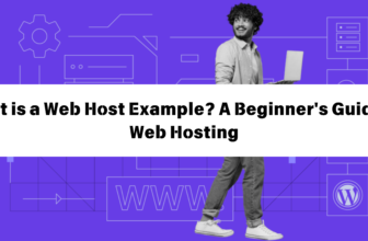 What is a Web Host Example A Beginner's Guide to Web Hosting