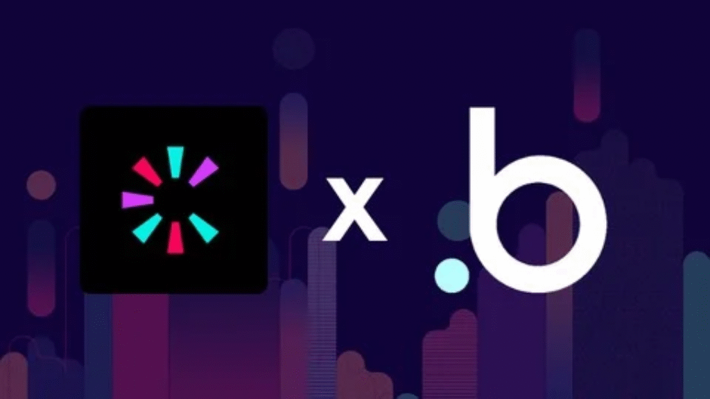 Build Cameo Clone No Code Bubble