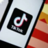TikTok Banned? How To Secure Your Audience with a Personal Website