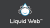 Liquid Web Hosting: Solutions for Reliable Performance and Unmatched Support