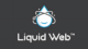 Liquid Web Hosting: Solutions for Reliable Performance and Unmatched Support