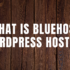 How To Start A WordPress Blog On Bluehost