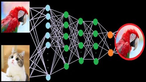 A deep dive in deep learning ocean with Pytorch & TensorFlow